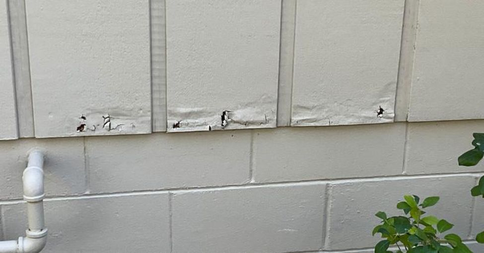 Cost to Paint a House in Charlotte (2026 Pricing Guide) Exterior siding with peeling paint and surface damage showing why prep work can be a major cost driver for Charlotte house painting projects.